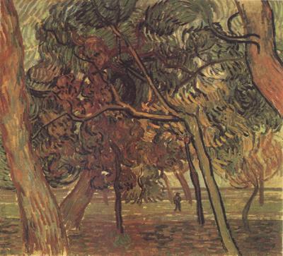 Vincent Van Gogh Study of Pine Trees (nn04) oil painting image